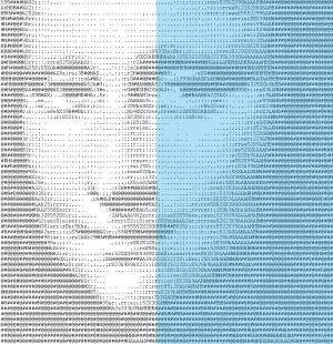 Mona_Lisa_ascii